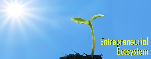 Ecosystem