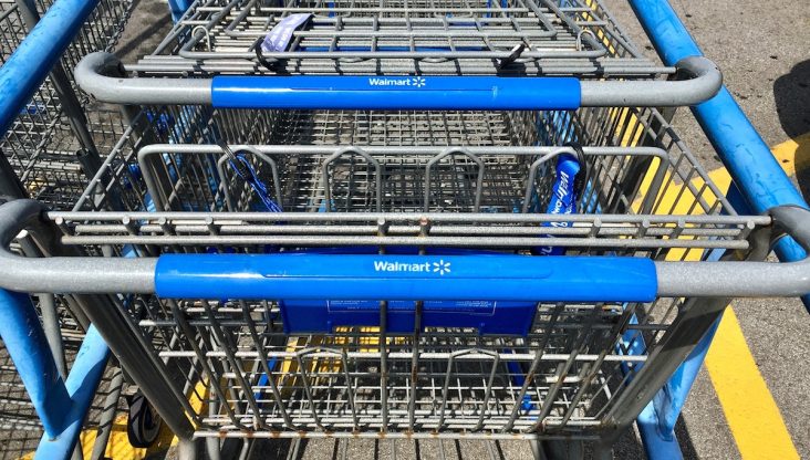 Shopping best sale buggy walmart