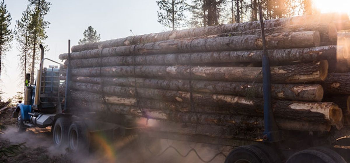 PotlatchDeltic 1Q earnings slide 55, completes 93 million sale of