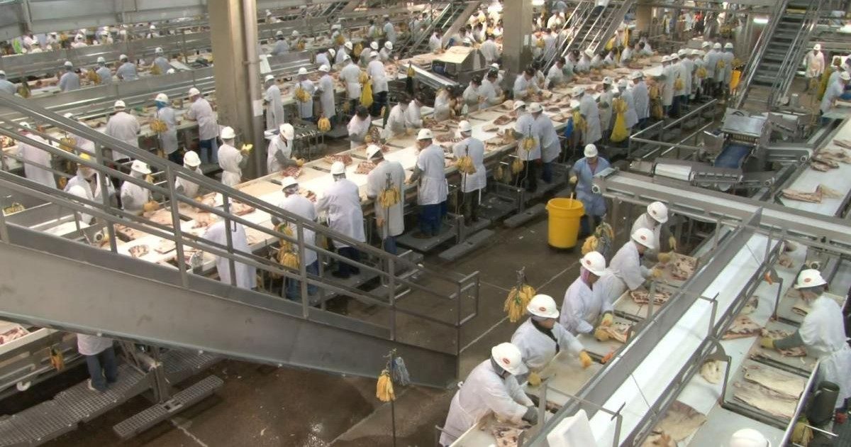 Around 2,800 jobs to be cut as Tyson Foods closes chicken plants Talk
