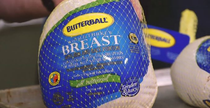 Frozen Whole Turkey - Butterball