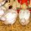 Tyson Foods cuts 250 jobs in North Carolina, chicken inventories rise