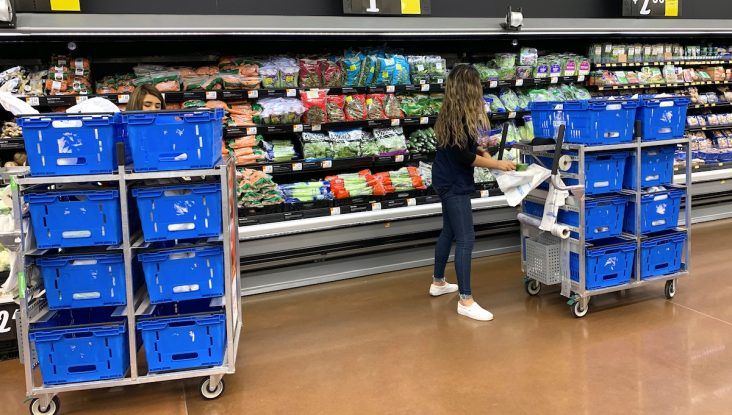 Walmart Grocery Delivery Service - Order Online