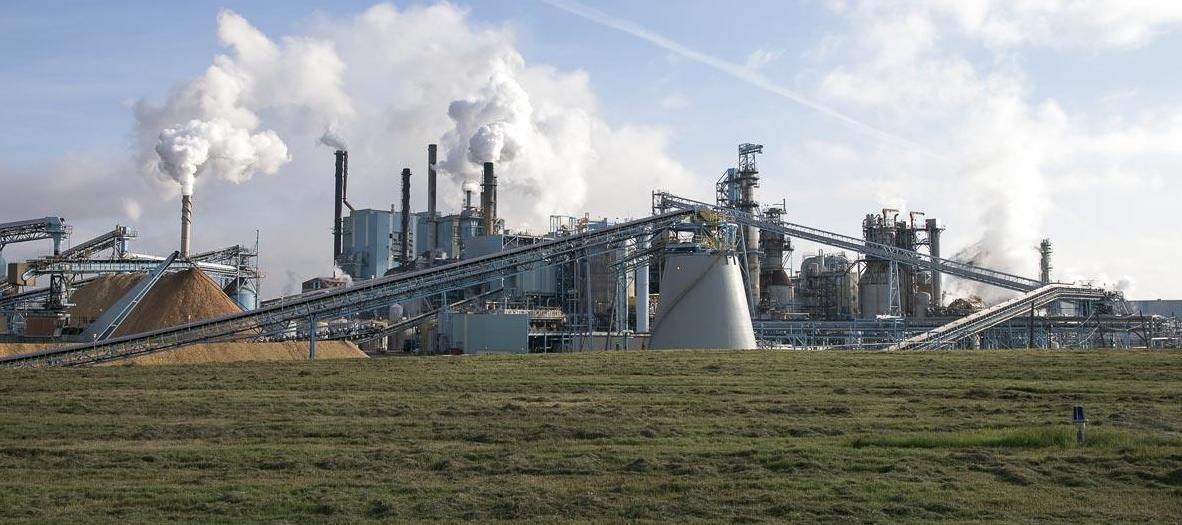 Domtar to temporarily idle Ashdown business line Talk Business & Politics