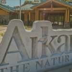 40 consecutive months of Arkansas tourism tax growth ends