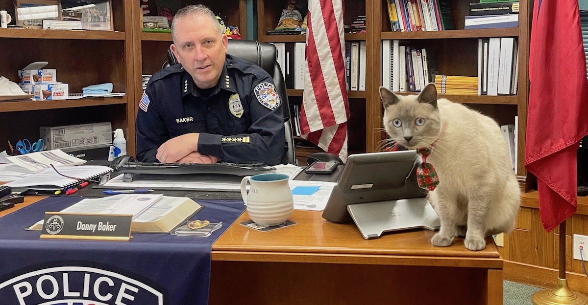 Meet Troy Police Cat Donut