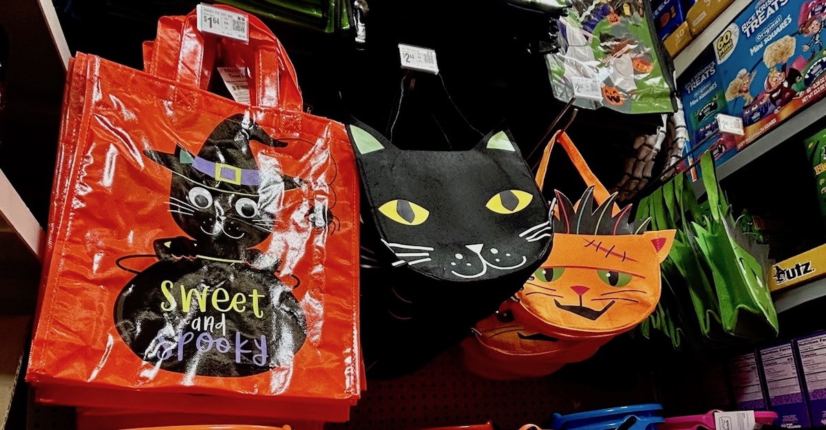 Halloween Sees a Surge in Popularity – and Anticipated Spending, Best  States