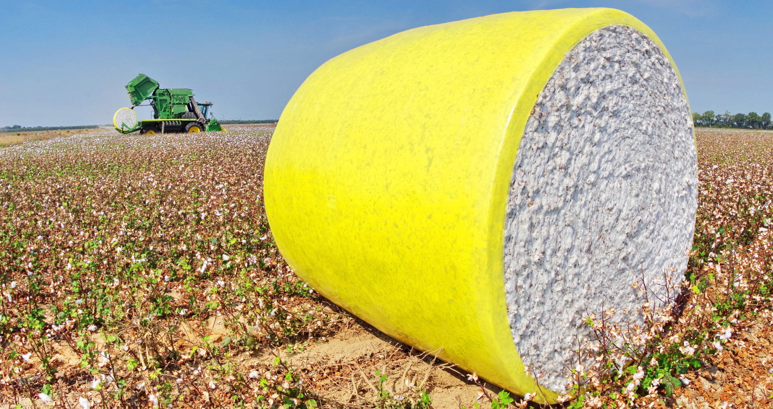 Soybean volume drops in Arkansas; cotton yield estimate questioned