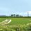 Arkansas rice acres planted drop to lowest level in 50 years